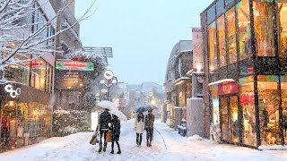 Tokyo Snow 2014  雪の東京 [upl. by Wrench]