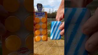 SURVIVAL bushcraft skills Soap for Survival 💦camping survival bushcraft outdoors lifehack [upl. by Theresina557]