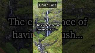 Crush Fact The Experience Of [upl. by Noreik]