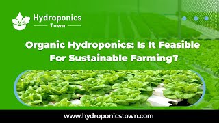 Organic hydroponics is it feasible for sustainable farming  HydroponicsTown [upl. by Ayital]