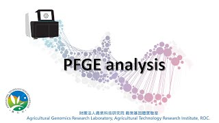 Pulsedfield gel electrophoresis PFGE analysis pipelin [upl. by Pinto]