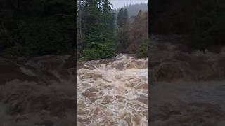 Raging River flood Powerful nature High waters in Betwsycoed Village shorts flood dangerous [upl. by Micheline827]