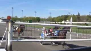 Live Racing  Saratoga Harness [upl. by Lohse]