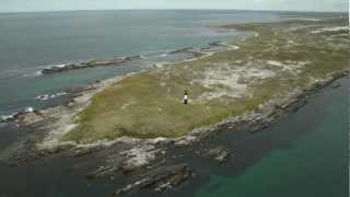 Welcome to the Falkland Islands [upl. by Martinelli473]