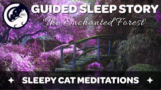 The Enchanted Forest  A Guided Sleep Story Meditation [upl. by Vladimir62]