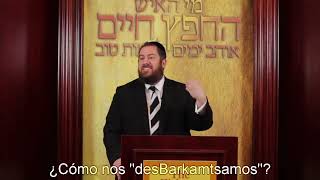 Rabino Eprhaim Eliyahu Shapiro  Ceder [upl. by Ocicnarf]