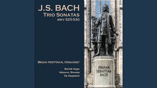 Trio Sonata No 4 BWV 528 III Un Poc Allegro [upl. by Ender]