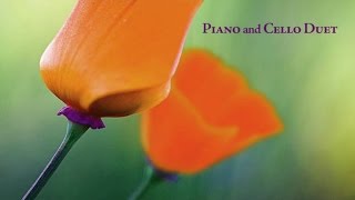 Brian Crain  Piano and Cello Duet Full Album [upl. by Nordek]