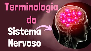 TERMINOLOGIA SISTEMA NERVOSO [upl. by Festus742]