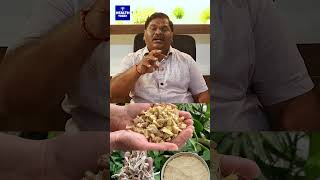 ஜீரண கோளாறுக்கு செம்ம தீர்வு  Indigestion Home Remedies  Doctor Sachidanandam [upl. by Reade]