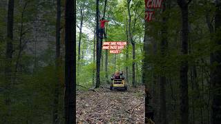 Bow Hunting Hang On Tree Stand Going Up  1 Month Out 🏹🦌 Hunting BowHunting DeerHunting [upl. by Heller]