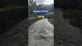 Best place to walk and relax in Porto Portugal 🇵🇹 riotinto porto portugal europe [upl. by Dierolf]