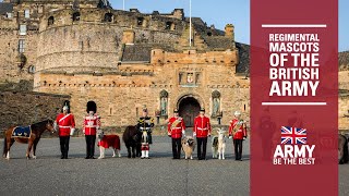 Regimental Mascots  British Army [upl. by Fatma]