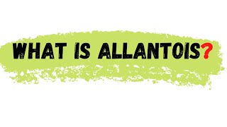 Allantois  what is allantois  allantois defination [upl. by Og321]