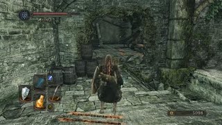 Dark Souls 2 Illusory Wall Locations  Forest of Fallen Giants [upl. by Jenica]