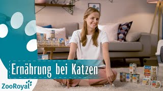 Ernährung bei Katzen  Rund um die Katz mit Katzenbloggerin Ani  ZooRoyal [upl. by Durgy600]