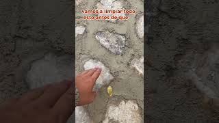 Instalación de Piedra Laja Gris oxido para piso trafico vehicular pisos piedra placahuellas [upl. by Izak]