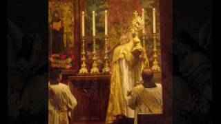 Oh Sacrament Most Holy0001wmv [upl. by Adlesirc958]