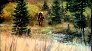 The Life And Times Of Grizzly Adams 1977 Series Intro [upl. by Hallvard]