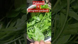 Palakura pachadi  gongura pachadi pudinachutney kothimeerapachadi gongurapickle palakura yt [upl. by Aya]