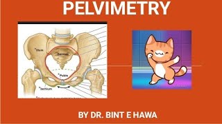 PELVIMETRY with video demonstration Gross anatomy of pelvis Endocrinology module [upl. by Enella]