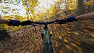 Frick Park Foliage MTB Style [upl. by Giffy814]