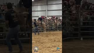 Kikito de Jalisco 🤠 vs El G63 de Rancho El Aguaje 🐂 Queda o Porrazo  explore jaripeo banda [upl. by Lexie]