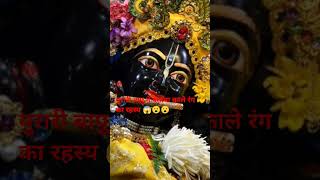 मुरारी बापू ने बताया काले रंग 😱का रहस्य 😱😮😮 kalikamliwala radharani krishna muraribapu prem [upl. by Genesa]