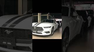 Mustang Ecoboost Fastback barunamotor shorts fyp ford mustang viralshorts trending short [upl. by Delwin]