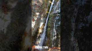 Pfeiffer Falls Big Sur waterfall waterfalls waterfallsounds waterfallhike waterfallsvideos [upl. by Otreblasiul107]