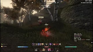 ESO PVP 1 Bar Nightblade Gank Build So Good i Cant Release It 💀💀 [upl. by Asusej]