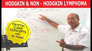 Hodgkins vs Non Hodgkins Lymphoma  Pathology🩺 [upl. by Inoue]