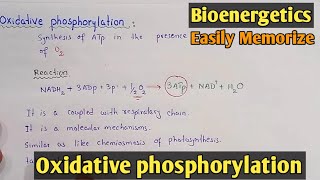 Oxidative Phosphorylation  Class 11 Biology [upl. by Dorette215]