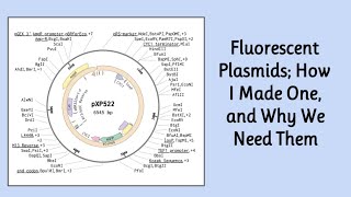 Editing A Plasmid  Synthetic Biology [upl. by Biagi]