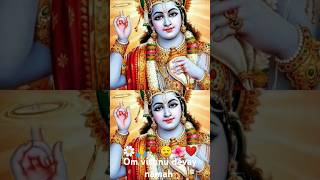 Vishni devay hindisong bhaktisong visnu photo edit sorts video 🌼🙏🌹😌🌺❤️ [upl. by Kunin]