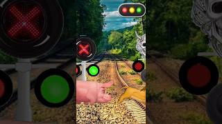 Lion and pig running on railway track shorts short [upl. by Akirrehs]