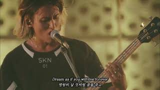 원오크락은 무대를 찢어🎸  ONE OK ROCK  Chaosmyth 가사해석 LIVE [upl. by Siraved]