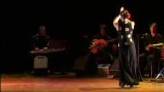 Leidse Schouwburg  FROM SUFI TO FLAMENCO [upl. by Nennahs]