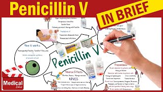 Penicillin V  Pen Vee K  What is Penicillin Used For Dosage Side Effects amp Precautions [upl. by Faxen]