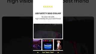 LED Safety Dog Collar PerfectForPets GiftForPetOwners TrendingPetProducts PetCareEssentials [upl. by Scarrow]