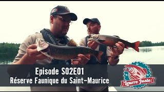 Leurre Juste  S02E01  Truites pêche estivale incroyable [upl. by Ojillek]