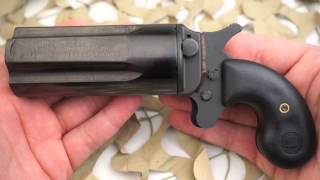 Leinad Cobray Pepperbox 5 Shot Derringer 410 45LC Overview  Texas Gun Blog [upl. by Burkitt]