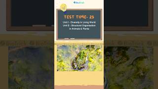 Test Time25  NEET MCQs  Class 11 Biology Frog Morphology of Flowering Plants classxi neet2025 [upl. by Adnalra]