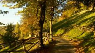 04 Autunno nel parco Sigurtà  foto di Claudio Gobbetti  2011 [upl. by Aramanta]