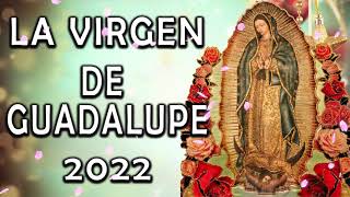 Cantos Para La Virgen De Guadalupe  La Virgen De Guadalupe  Mariachi Cantares De Mexico [upl. by Ulani]