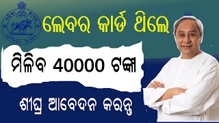 ଲେବର କାର୍ଡ ଥିଲେ 40000 ଟଙ୍କା ମିଳିବ ଦେଖନ୍ତୁstate scholarship apply onlinelebour card renewal online [upl. by Pike]