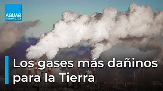 🌍💨Descubre los GASES MÁS PELIGROSOS para la TIERRA💨🌍 [upl. by Dagna]