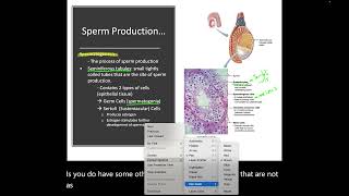 Male Reproductive Biology Lecture Video [upl. by Lazar71]