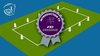 The rules of Dressage  FEI World Equestrian Games™ Tryon 2018 [upl. by Leibarg]