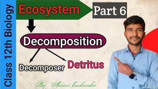 Decomposition Ecosystem class 12th biology Decomposer amp Detritus Board exam CBSE Ecology Bio [upl. by Origra]